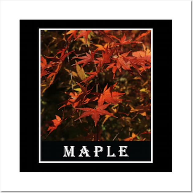 Red Momiji Leaves Are a Sign That Autumn Has Arrived Photography Wall Art by carlesclan